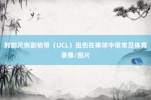 肘部尺侧副韧带（UCL）扭伤在棒球中很常见体育录像/图片
