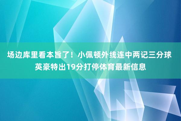 场边库里看本旨了！小佩顿外线连中两记三分球 英豪特出19分打停体育最新信息
