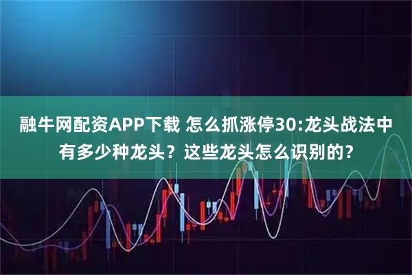 融牛网配资APP下载 怎么抓涨停30:龙头战法中有多少种龙头？这些龙头怎么识别的？