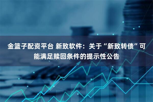 金篮子配资平台 新致软件：关于“新致转债”可能满足赎回条件的提示性公告