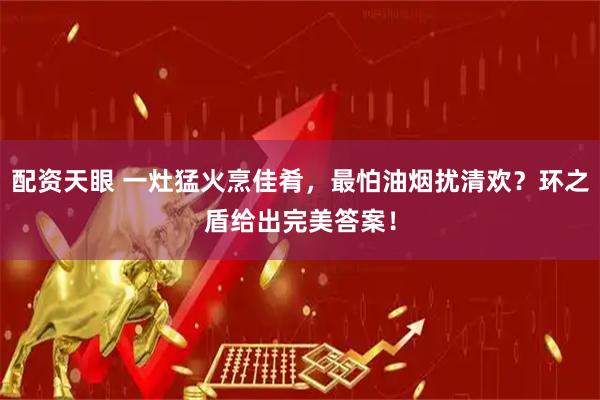 配资天眼 一灶猛火烹佳肴，最怕油烟扰清欢？环之盾给出完美答案！