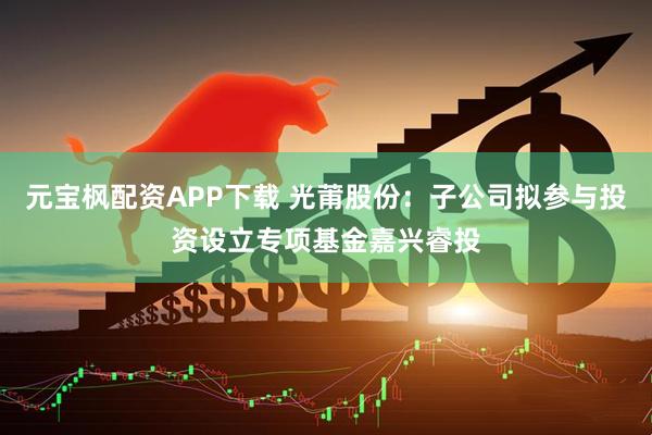 元宝枫配资APP下载 光莆股份：子公司拟参与投资设立专项基金嘉兴睿投